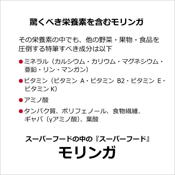 沖縄産 無添加 モリンガパウダー（100g×3個） モリンガ粉末 モリンガサプリメント 無農薬栽培モリンガ使用の画像