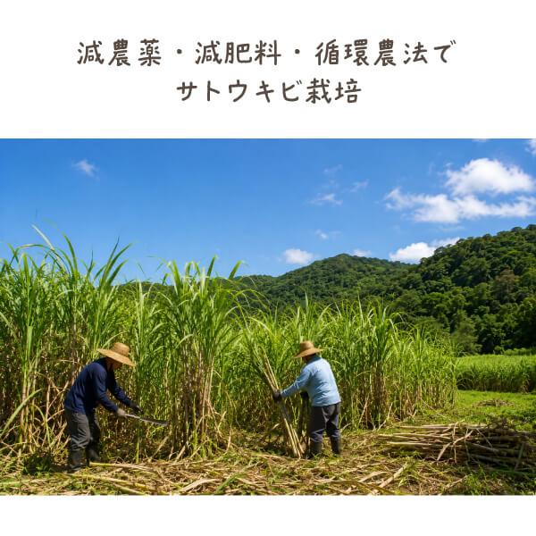 徳之島 大竹名人の純黒糖120g 石灰不使用 本物の黒糖 無添加 最上級品