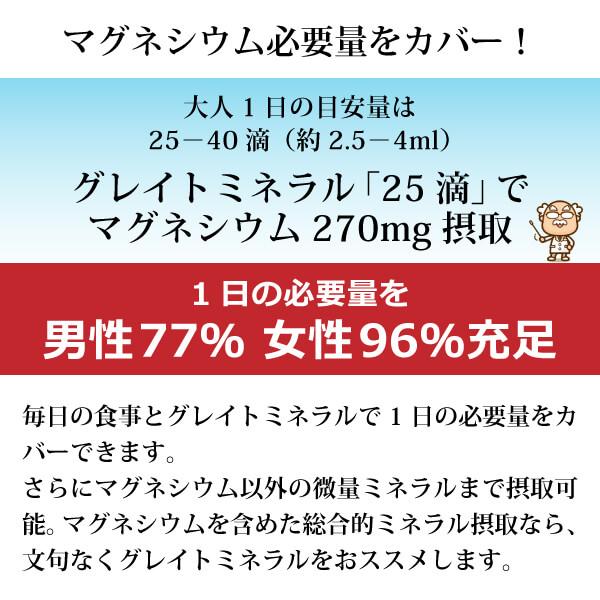 グレイトミネラル100ml×3本 78種の液体マルチミネラル濃縮液 ミネラル