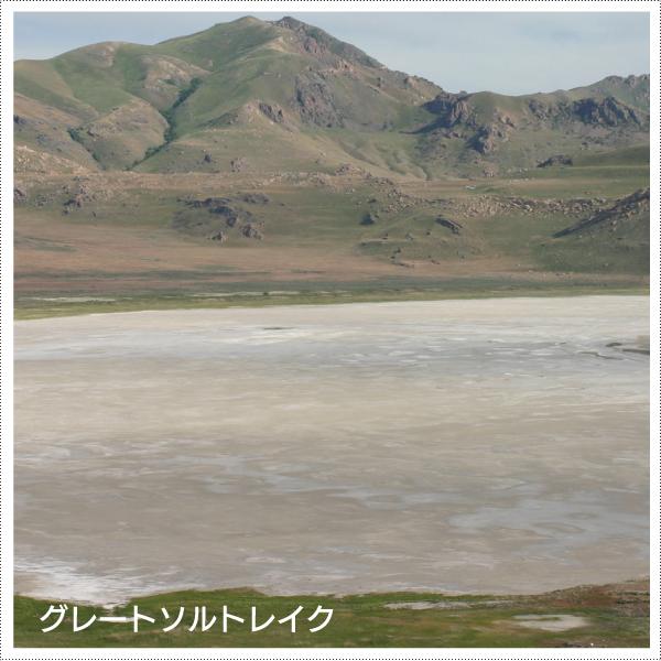 グレイトミネラル100ml×3本 78種の液体マルチミネラル濃縮液 ミネラルサプリメント グレイトソルトレイク由来 ミネラルウォーター簡単 料理 炊飯にの画像