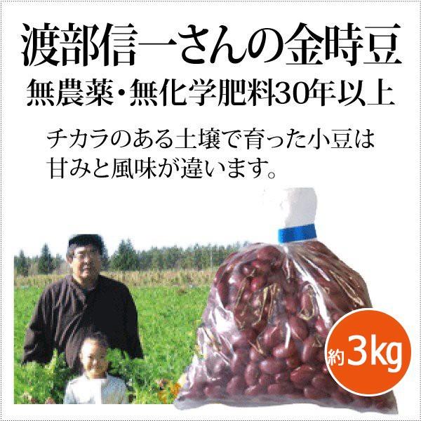 北海道産 無農薬金時豆 - 渡部信一さんの金時豆（約1kg×3袋） 無農薬 無化学肥料栽培30年の美味しい金時豆 渡部信一さんは化学薬品とは無縁の生産者