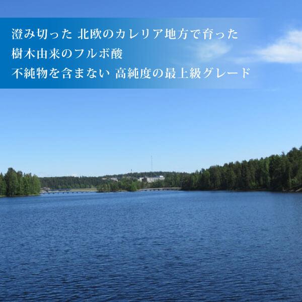 高純度 フルボ酸 太古の泉30ml（約1〜1.5か月分）×10本 本物のフルボ酸 国際腐植物質学会IHSS基準 ミネラル吸収サポート 有害金属排出 酸化ストレス保護の画像