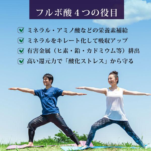 高純度 フルボ酸 太古の泉30ml（約1〜1.5か月分）×10本 本物のフルボ酸 国際腐植物質学会IHSS基準 ミネラル吸収サポート 有害金属排出 酸化ストレス保護の画像