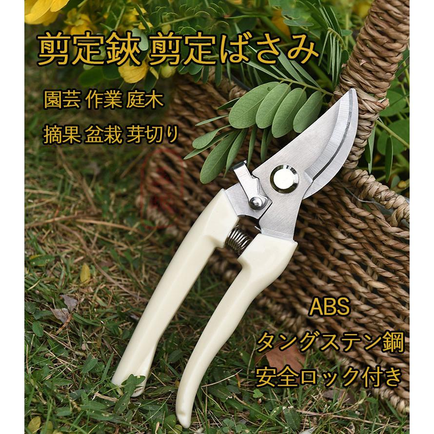 剪定ばさみ 剪定ばさみ 軽量 造園 盆栽 植木 枝 ガーデニング ハサミ 庭木 剪定鋏 小型 手入れ 庭 家庭菜園 摘花 生花用 枝きりばさみ 枝切り鋏 枝切りハサミ Jd004 玉城ストア 通販 Yahoo ショッピング