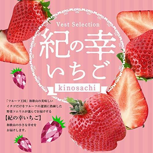 いちご 和歌山県産 高級 紀の幸 幸せいちご 等級s 34粒入り 1パック10粒 17粒 2パック約250グラム 野菜ソムリエ監修 いちご Arrowspeedline Com Vn