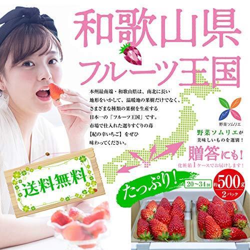 いちご 和歌山県産 高級 紀の幸 幸せいちご 等級s 34粒入り 1パック10粒 17粒 2パック約250グラム 野菜ソムリエ監修 いちご Arrowspeedline Com Vn