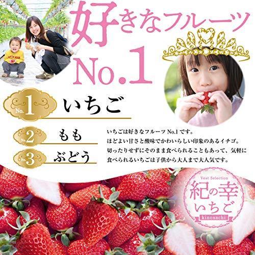 いちご 和歌山県産 高級 紀の幸 幸せいちご 等級s 34粒入り 1パック10粒 17粒 2パック約250グラム 野菜ソムリエ監修 いちご Arrowspeedline Com Vn