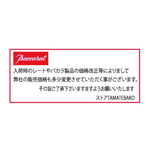 花文字イニシャル　バカラ ベルーガペアグラス　結婚祝い 花文字彫刻　ペアセット　急ぎ　ビールグラス　ハイボール・ベガ・ベルーガ｜tamatebako｜08