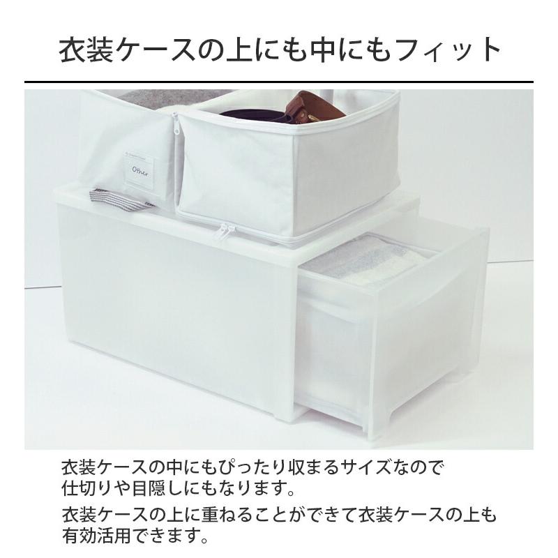 収納ケース 2way クローゼット収納 押し入れ収納 衣類整理 衣替え 棚上