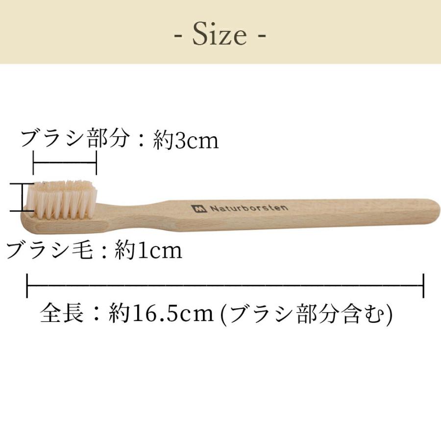 Redecker 歯ブラシ 16.5cm 641055 デンタルケア 虫歯予防 歯肉ケア 歯磨き はみがき 豚毛 エコ ハブラシ 天然素材  天然素材 北欧雑貨 生活雑貨｜tamatoshi｜05