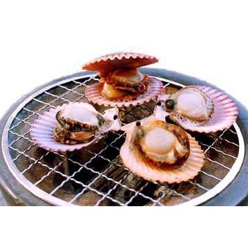 桧扇貝 こだわりの ヒオウギ貝 30個 8 5ｃｍ前後 三重県産 産地直送 バタ貝 あぱっぱ貝 バタバタ うまし国 志摩市から 真珠の里 うまいもん Hi30 真珠屋珠ちゃん アコヤ真珠通販 通販 Yahoo ショッピング