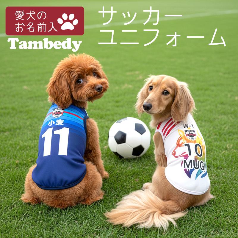 Tambedy（タムベディ） ＼冬物クリアランスSALE開催中／犬 服 名入れ