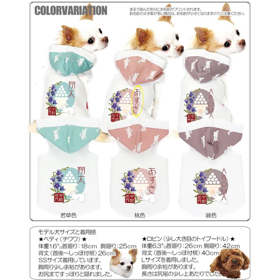 Tambedy（タムベディ） ＼お得なSALE開催中／犬 服 ドッグウェア 名