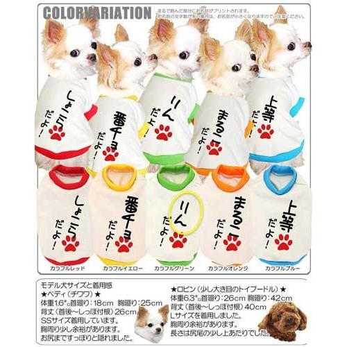 Tambedy（タムベディ） ＼冬物クリアランスSALE開催中／犬 服 名前入