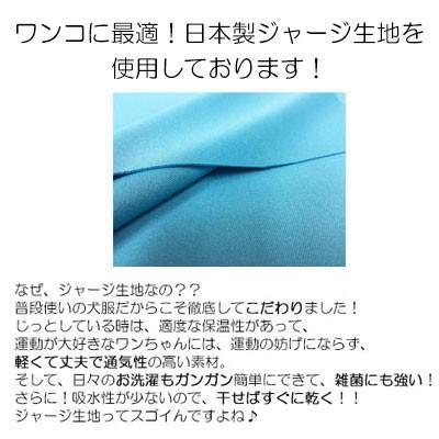Tambedy（タムベディ） ＼お得なSALE開催中／犬 服 秋冬 元号 新 れ