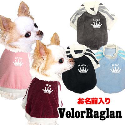 犬 服 ペットウェア 名入れ おしゃれ スポーティ チワワ ダックス トイプードル 名前入り ベロアラグラン 11 Onamae Velourraglan タムベディ 通販 Yahoo ショッピング