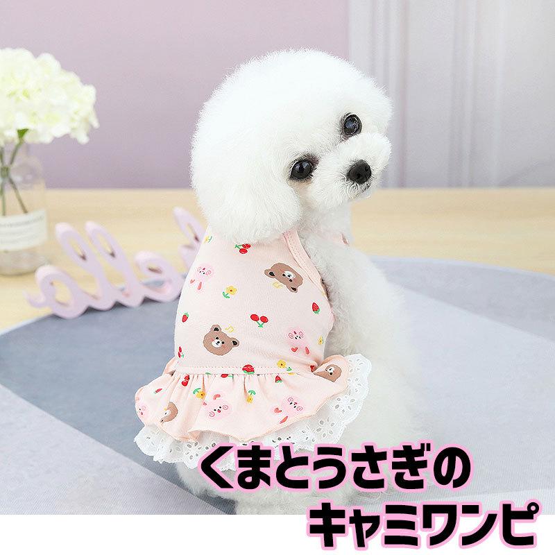 Tambedy（タムベディ） ＼お得なSALE開催中／犬 服 犬の服 春 夏 くま