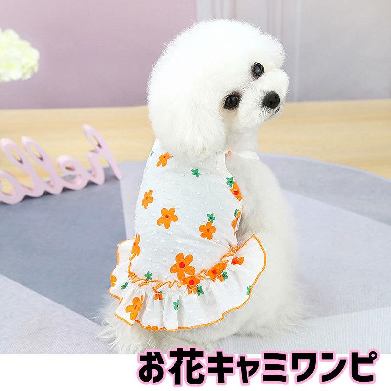 Tambedy（タムベディ） ＼お得なSALE開催中／犬 服 犬の服 春 夏 お花