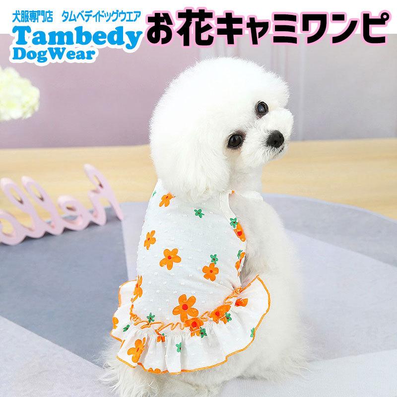 Tambedy（タムベディ） ＼最大1000円オフ22日23:59まで／犬 服 犬の服