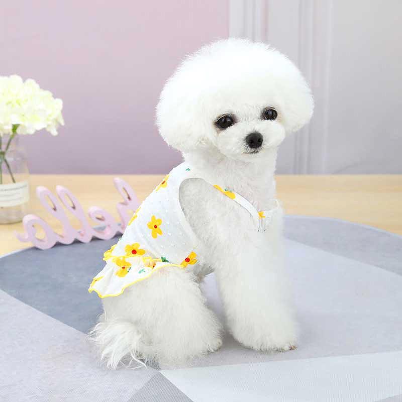 Tambedy（タムベディ） ＼390円〜大感謝祭開催中／犬 服 犬の服 春 夏