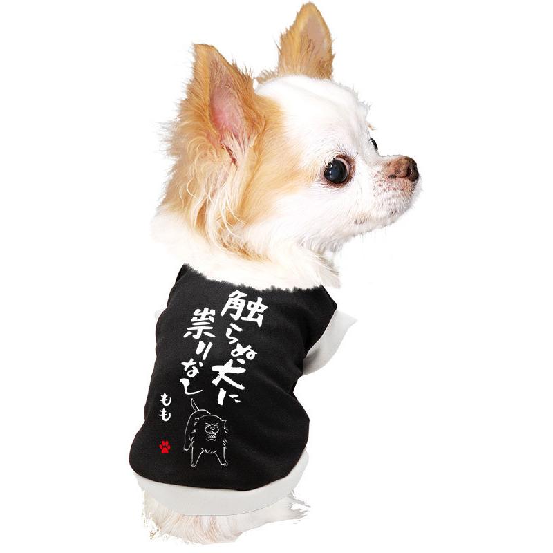 Tambedy（タムベディ） ＼お得なSALE開催中／犬 服 犬の服 名入れ 秋