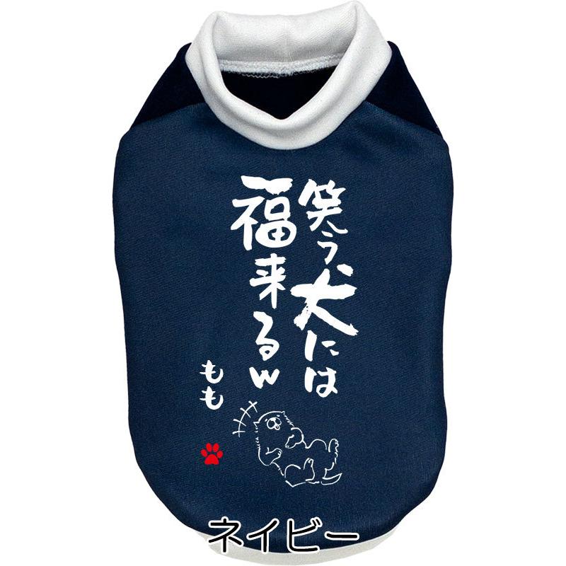 Tambedy（タムベディ） ＼お得なSALE開催中／犬 服 犬の服 名入れ 秋