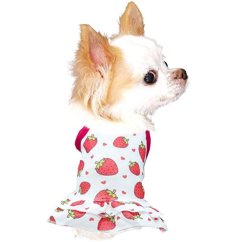 Tambedy ＼最大1000円オフ30日23:59まで／犬 服 犬の服 春服 夏服用