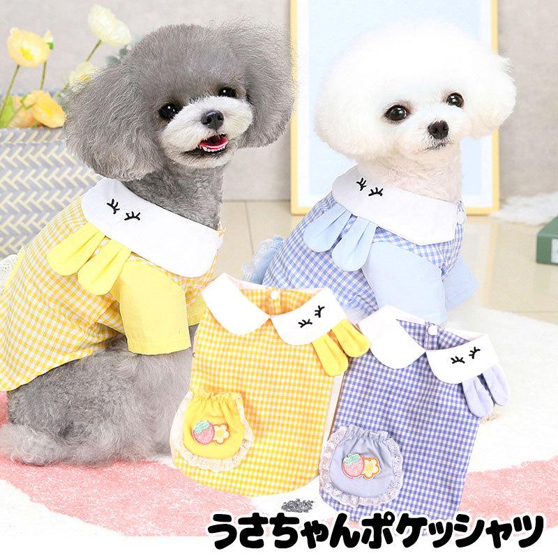 犬服専門店タムベディ☆Tambedy Dog Wear 犬服専門店タムベディ☆Tambedy Dog Wear