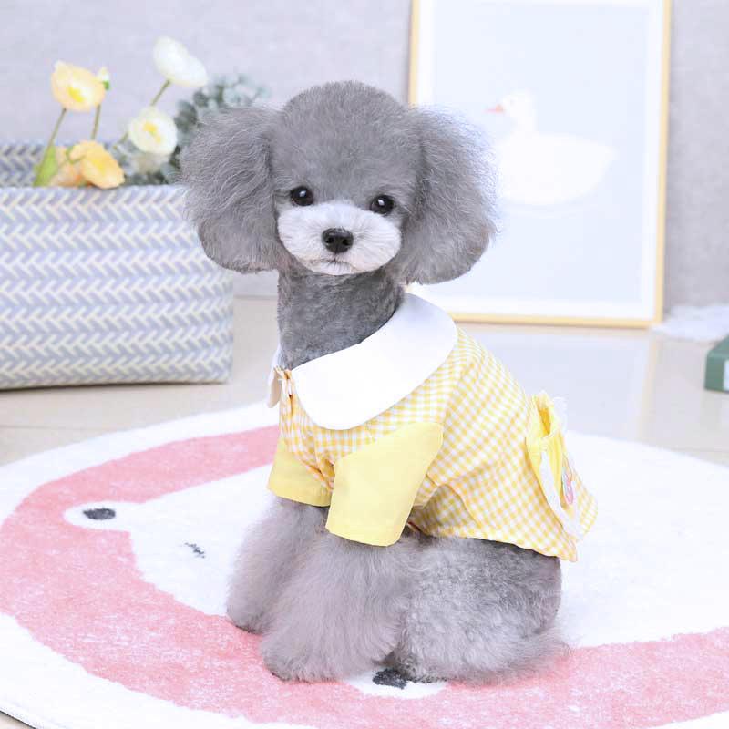 Tambedy（タムベディ） ＼全品P5倍15日23:59まで／犬 服 犬の服 春 夏