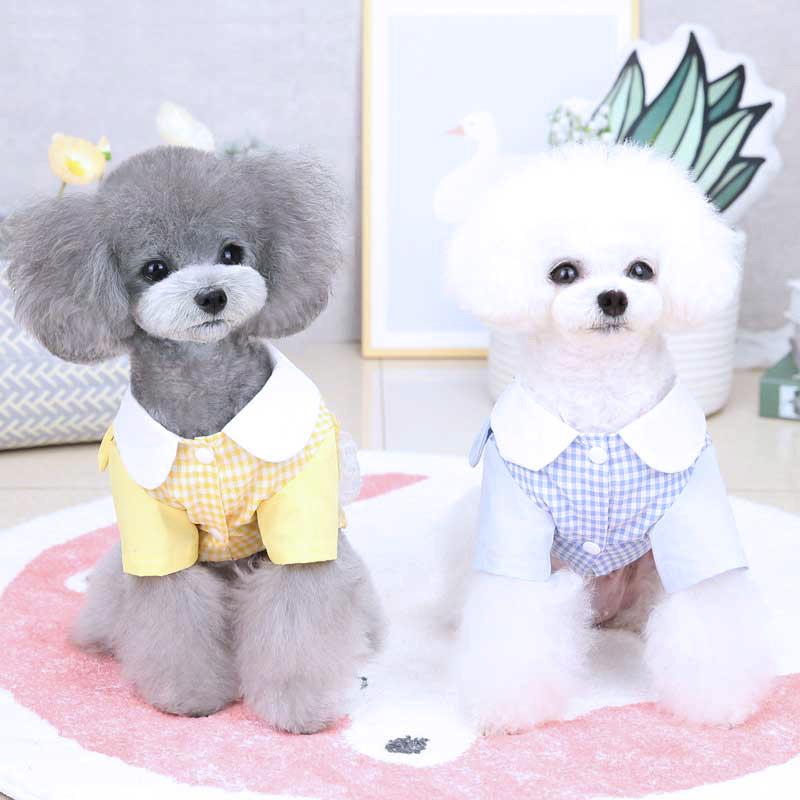 Tambedy（タムベディ） ＼2026年新春激得SALE／犬 服 犬の服 春 夏