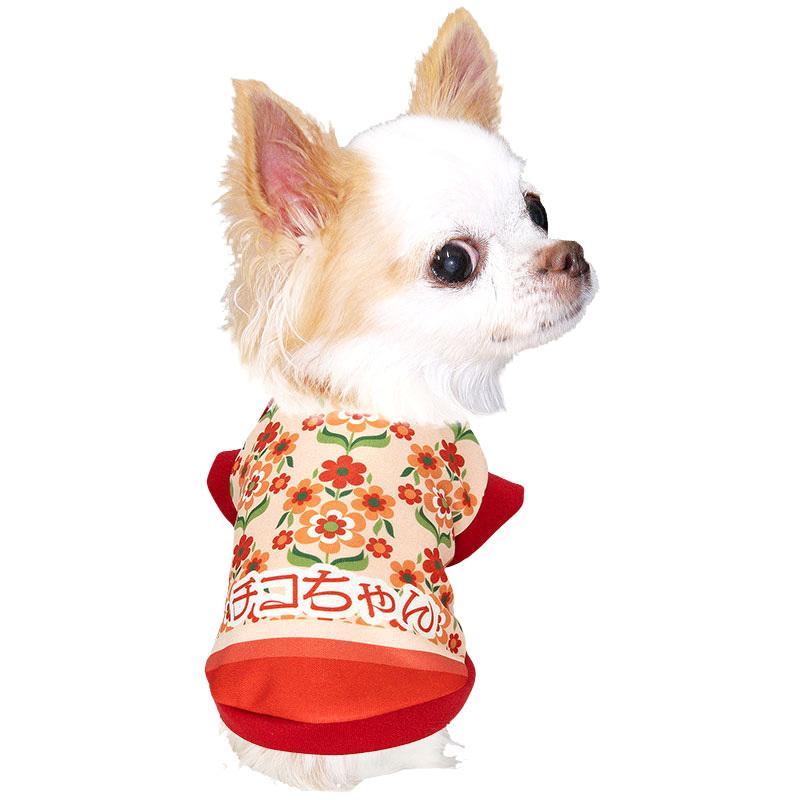 犬服☆デザイン見本✩.*˚ tambedy_202202-onamae-retrofancy