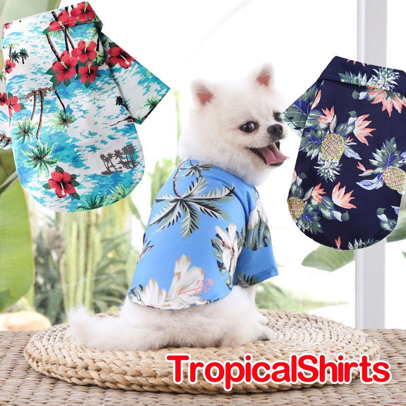 Tambedy（タムベディ） ＼冬物クリアランスSALE開催中／犬 服 犬の服