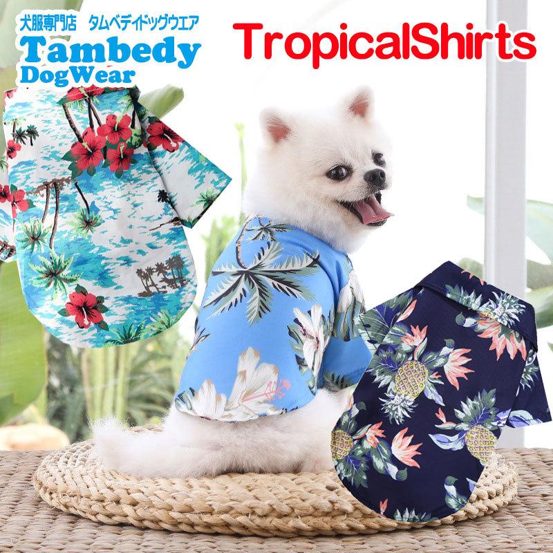 Tambedy ＼最大1000円オフ30日23:59まで／犬 服 犬の服 春 夏《名入れ