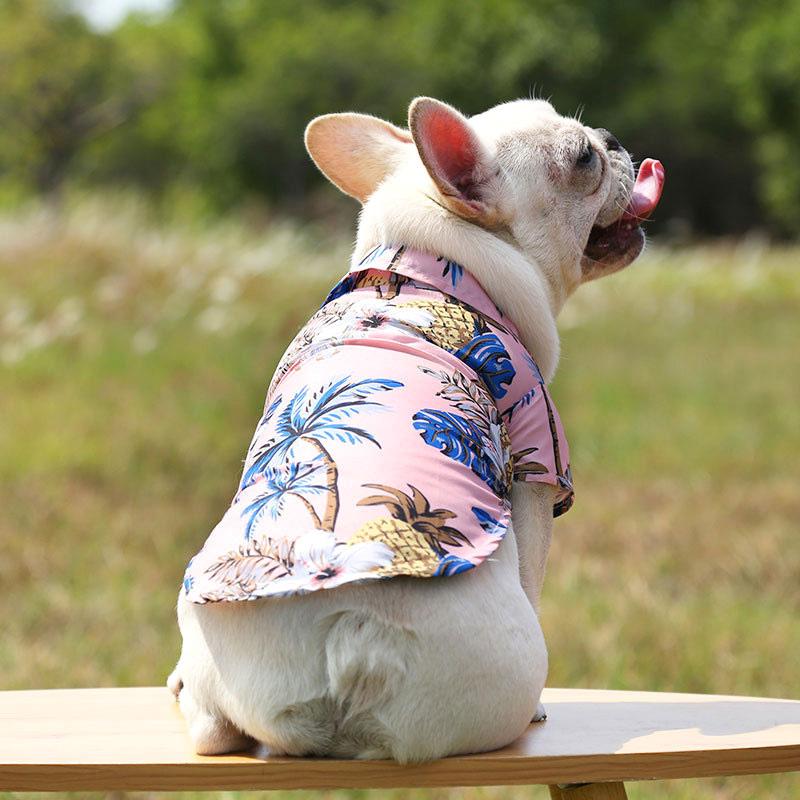 Tambedy（タムベディ） ＼お得なSALE開催中／犬 服 犬の服 春 夏《名