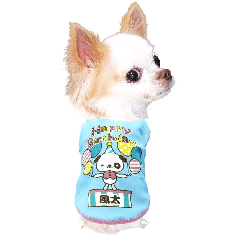 Tambedy（タムベディ） ＼冬物クリアランスSALE開催中／犬 服 犬の服