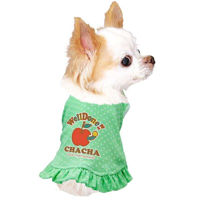 Tambedy（タムベディ） ＼全品P5倍15日23:59まで／犬 服 犬の服 春服