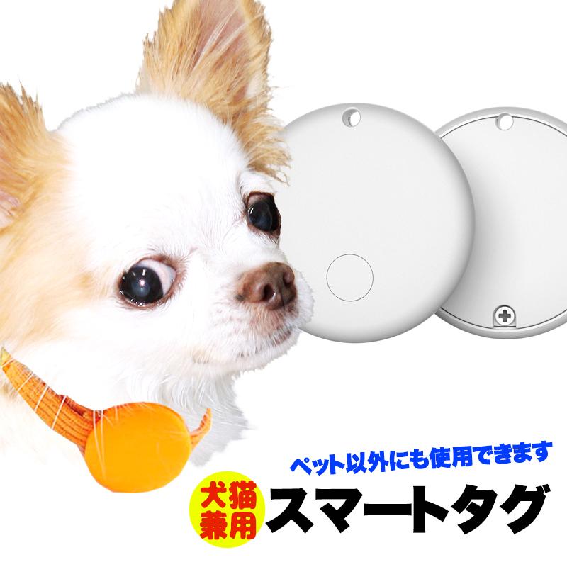 首輪・ハーネス・迷子札 RENATUS 犬 首輪 ハーネス用 名札 ネームプレート IDタグ ボーンタイプ 3