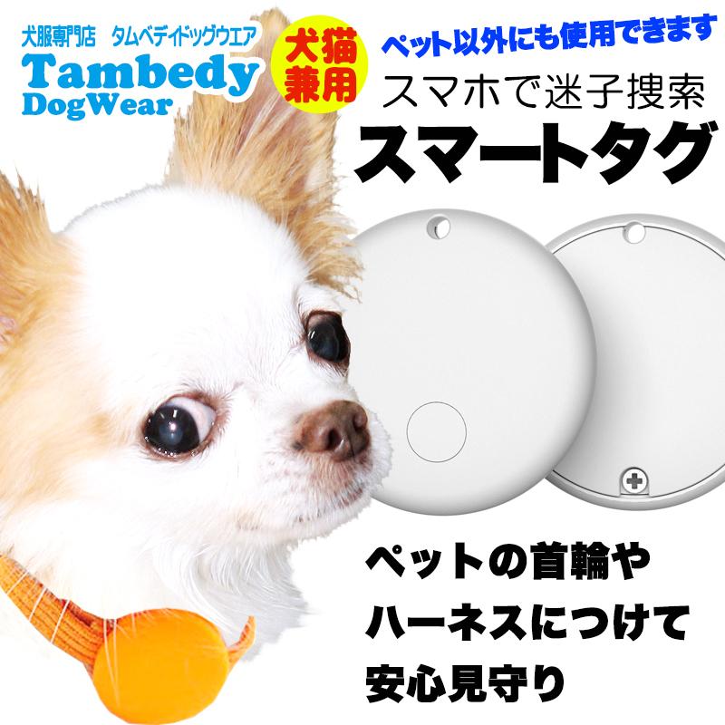 首輪・ハーネス・迷子札 Nagomi 017tg-sp_04.jpg