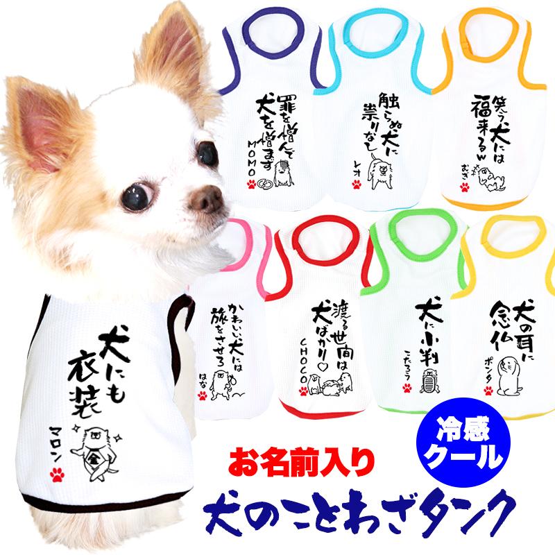 Tambedy ＼最大1000円オフ30日23:59まで／犬 服 犬の服 夏用 名前入り