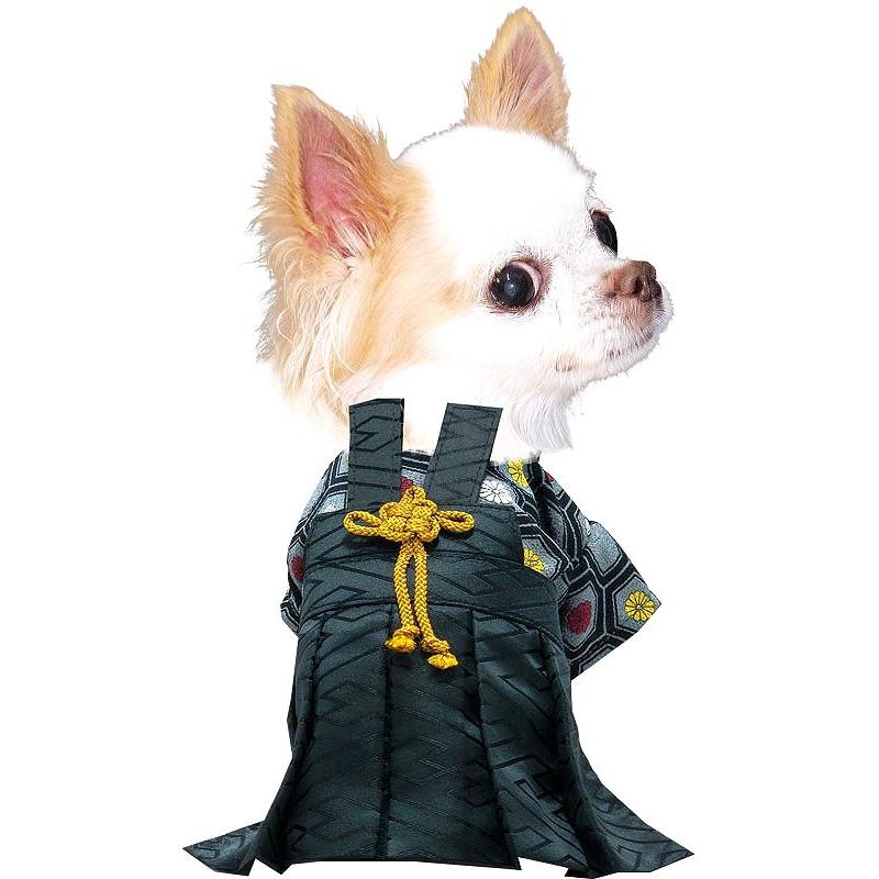 犬服　ダイヤモンド　着物　ご確認 楽天市場】犬の紋付 着物 お正月に 犬の和装 犬着物 犬 紋付