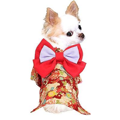 犬 服 着物 秋冬 名入れ 正月 ダックス トイプードル チワワ 服 艶やか晴れ着 久遠 コサージュ別売 Haregi19 Kuon タムベディ 通販 Yahoo ショッピング