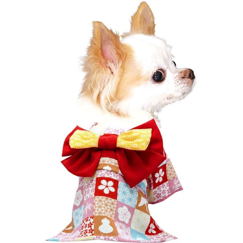 Tambedy（タムベディ） ＼2026年新春激得SALE／犬 服 着物 秋冬 名入れ