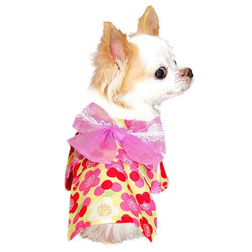 Tambedy ＼わんわん月セール開催中／犬 服 着物 春夏 和柄 お祭り