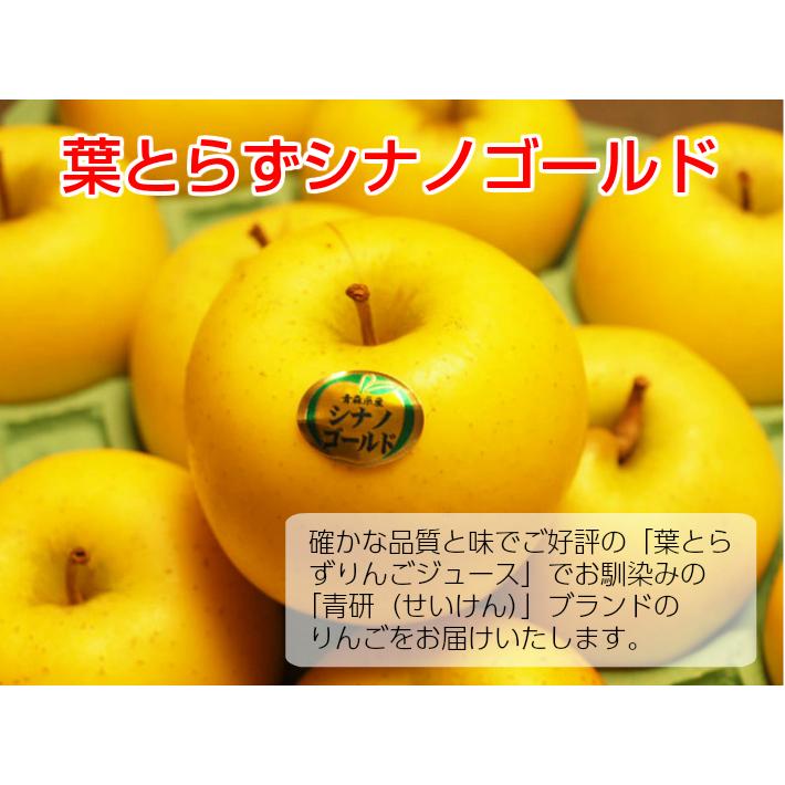 訳ありセール格安 シナノゴールド りんご 葉とらず 10kg 36 40玉前後 ご家庭用ランク 送料無料 メール便なら送料無料 Riccardotramma Com