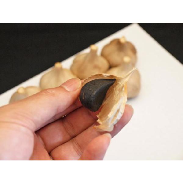 黒にんにく 田子の黒 Lサイズ 1玉 ポイント消化 お歳暮 冬ギフト 2025