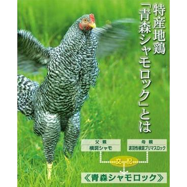青森シャモロック 軍鶏 中抜き 丸鶏 １羽 約1 7 2 0kg 地鶏 もも肉 あすつく Syamo 03 青森グルメを直送 ためのぶストア 通販 Yahoo ショッピング