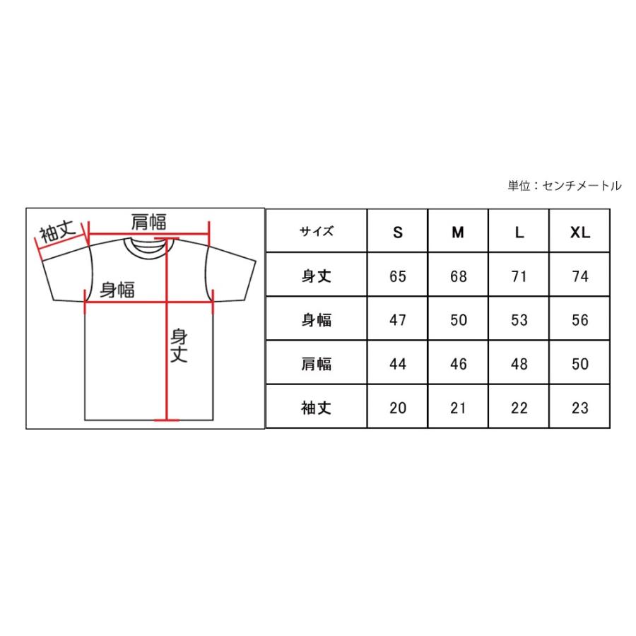 タミヤ（67293）タミヤレーシングファクトリー ドライTシャツ ストライプAタイプ ブラック S｜tamiya｜02