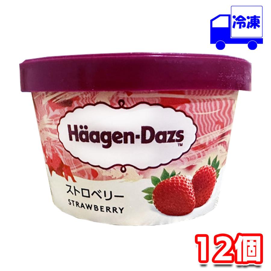  WILD STRAWBERRY 5点セット ハーゲンダッツ ミニカップ ストロベリー 110ml 12個 セット
