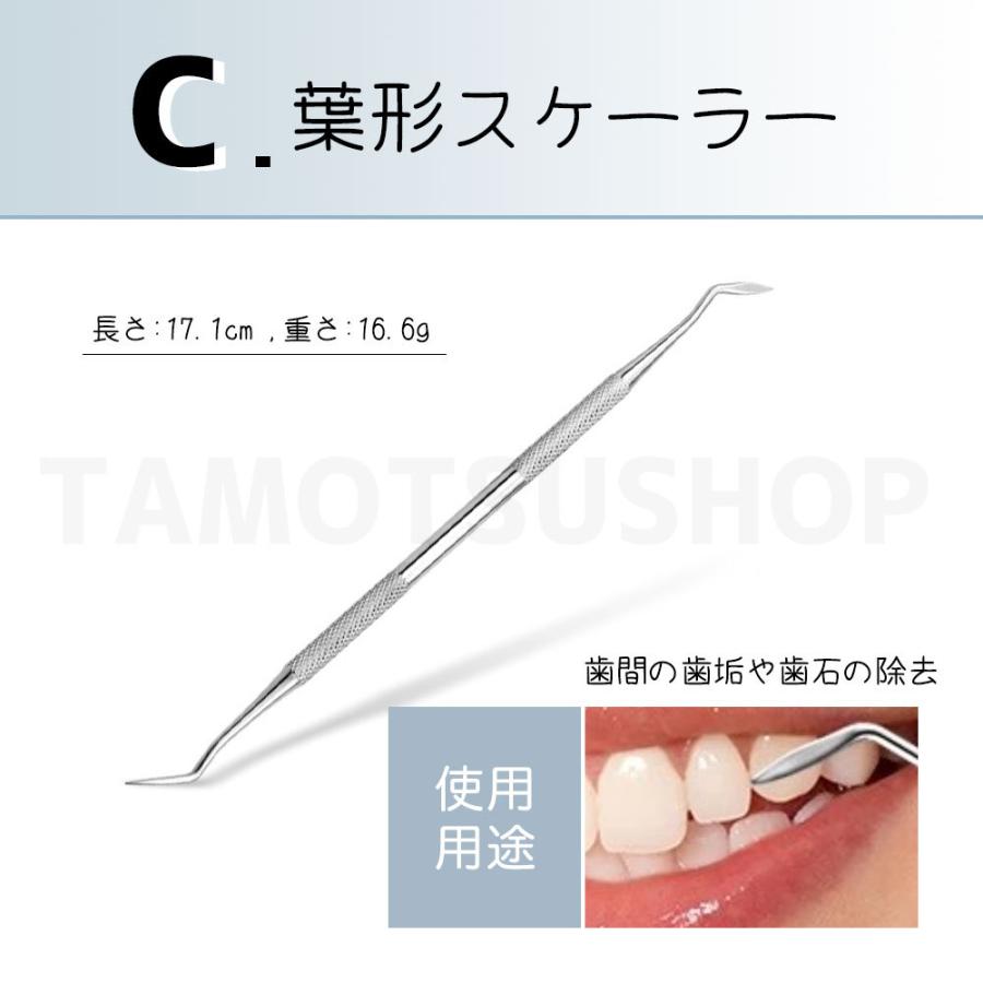ふるさと割 歯石取り 歯石除去 器具 自分 セット スケーラー 歯石 ヤニ 歯垢 デンタルケア 犬 ステンレス製 自宅用 デンタルツール 歯 送料無料 Wantannas Go Id