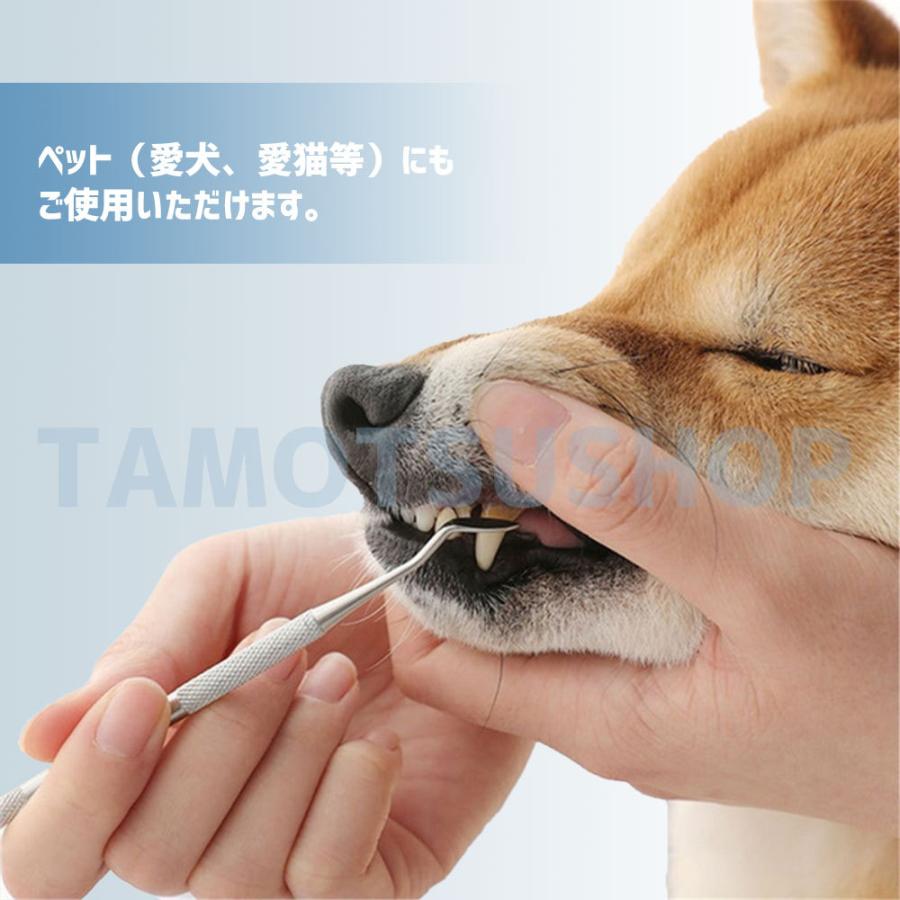 日本 歯石取り 歯石除去 器具 自分 セット スケーラー 歯石 ヤニ 歯垢 デンタルケア 犬 ステンレス製 自宅用 デンタルツール 歯 送料無料 Wantannas Go Id
